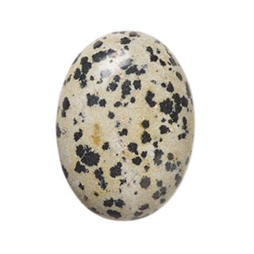 Dalmatian jasper